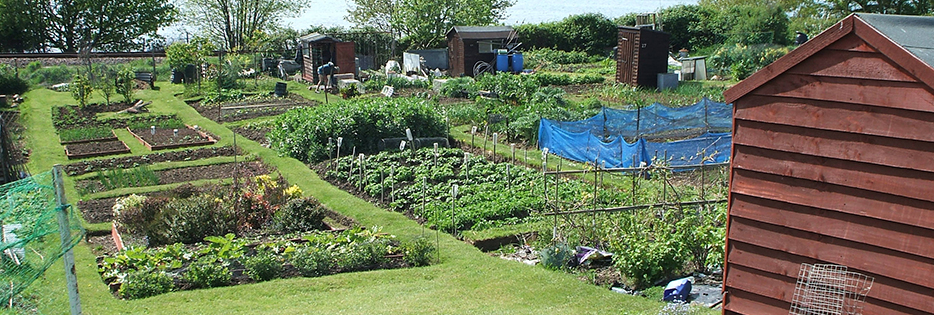 manea allotment