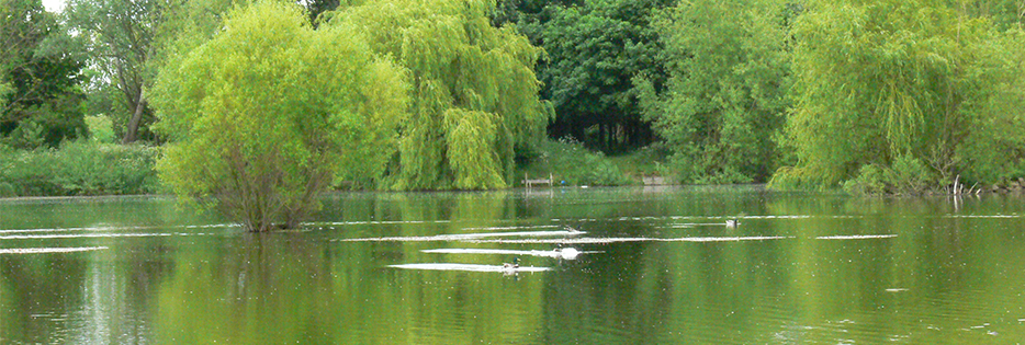 somersham nature reserve