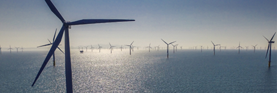Triton Knoll