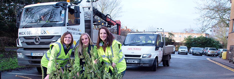 Christmas Tree Collection
