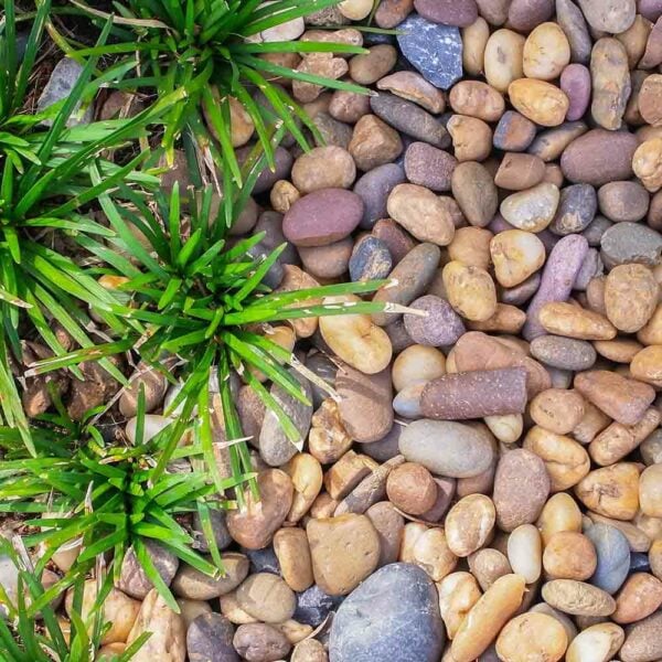 Scotch Beach Cobbles 20 - 40mm - Image 5