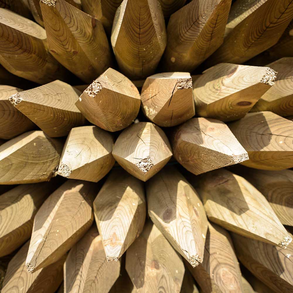 Pointed Round Fencing Posts