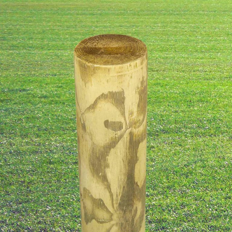 Pointed Round Fencing Posts - Landscaping - Mick George