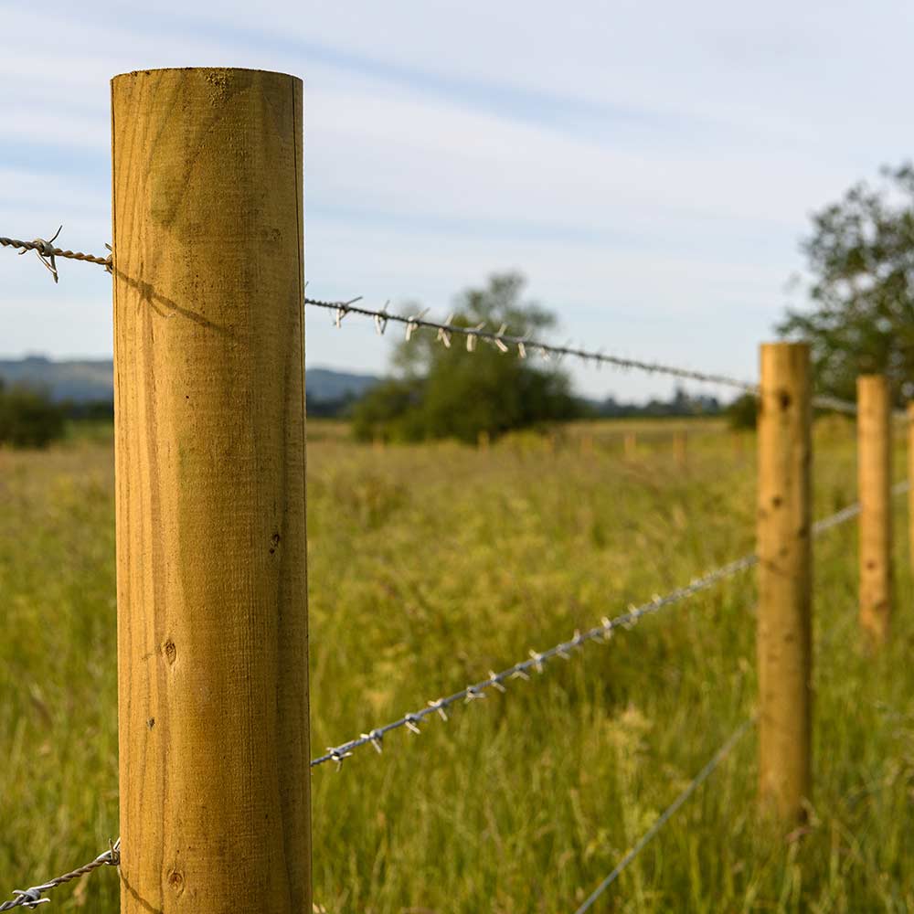 Pointed Round Fencing Posts