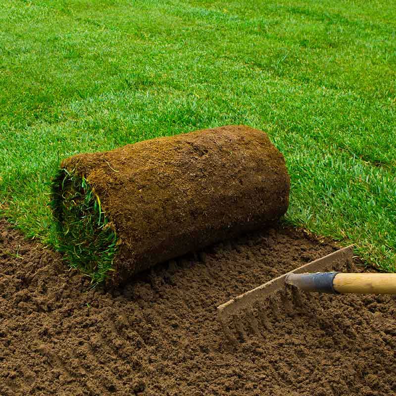 turf image