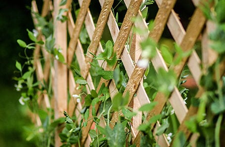 How to fit a fence How to fit a fence