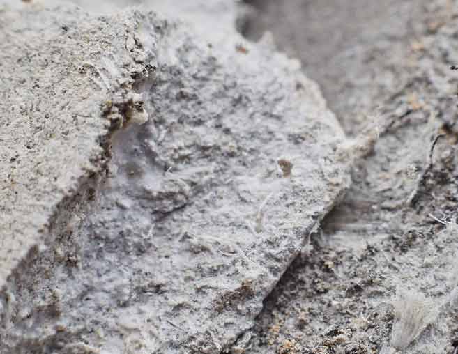 Asbestos Cement Asbestos Cement Board Mick