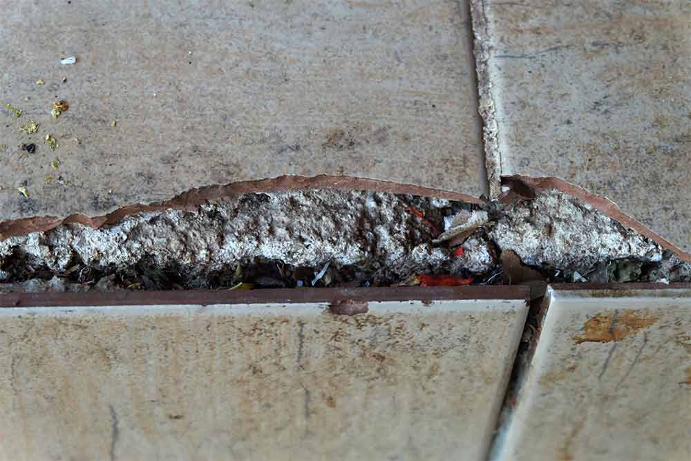 Asbestos Removal Cost Per Square Foot 2026