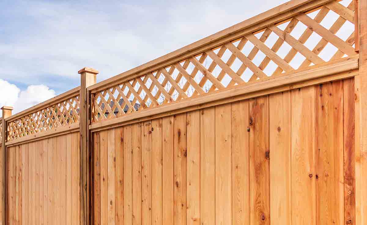 Curved Trellis Landscaping Mick