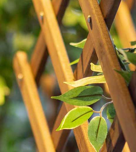 Fence Top Trellis Treatment