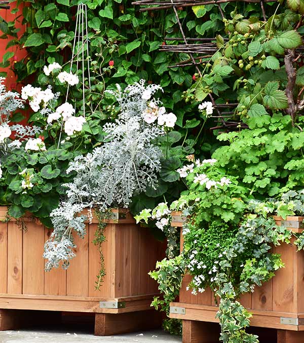 Garden Planter Suppliers