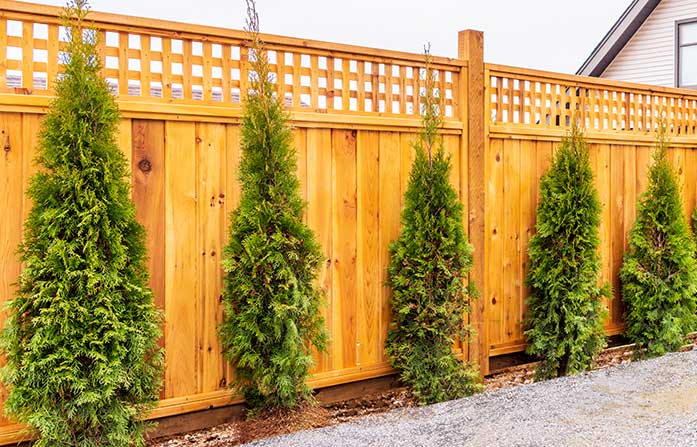 Fence panels in Northampton