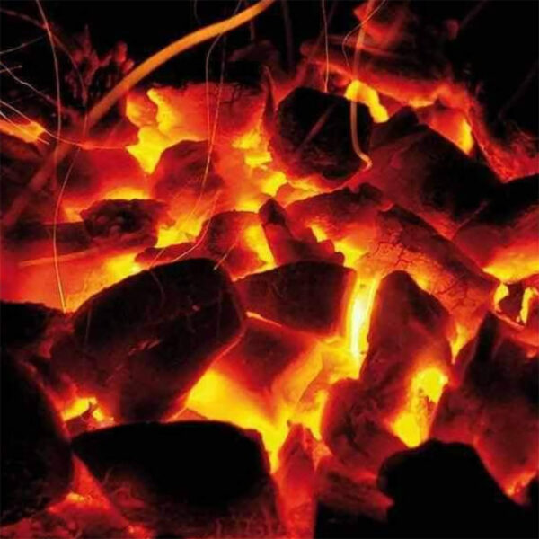 Group A Coal - Image 5