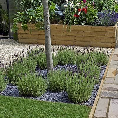 Blue Slate Chipping Benefits