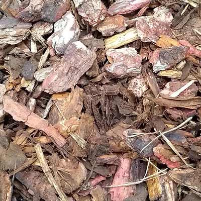 Bark Chipping Benefits
