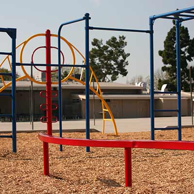 Where are Bark Chippings Used?