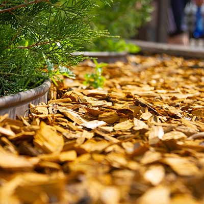 Do Bark Chippings Stop Weeds