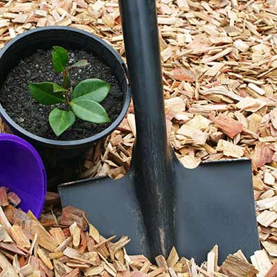 How Long Do Bark Chippings Last