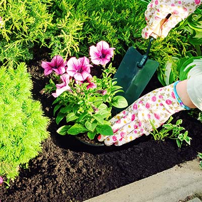 How Often Should You Change Your Compost?