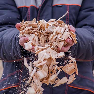 Woodchip or Bark Chippings?
