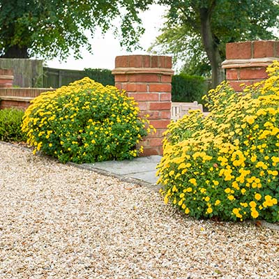 Popular Garden Gravel Materials