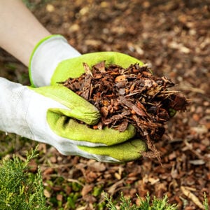 Bark Chipping Bulk Bags in Oxford