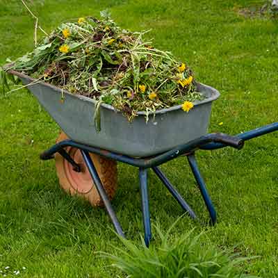 Garden Waste Disposal