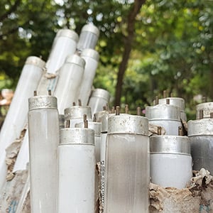 Fluorescent Tube Disposal