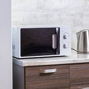 Microwave Disposal