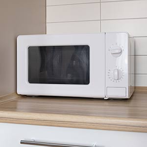 Microwave Disposal