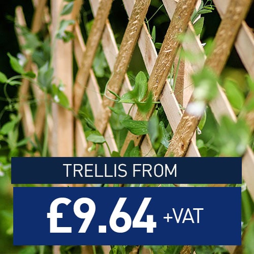 Trellis